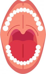 ドライマウスの所見